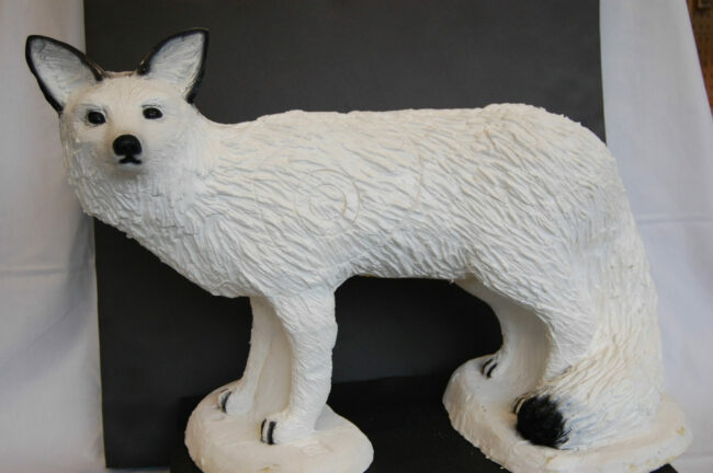 SRT Fuchs laufend weiss