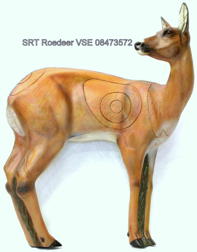 SRT Rehricke VSE zurückblickend