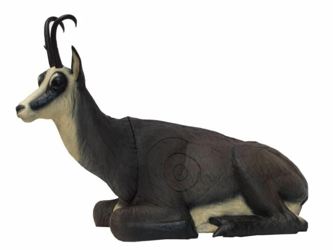 SRT Gemse liegend Winter