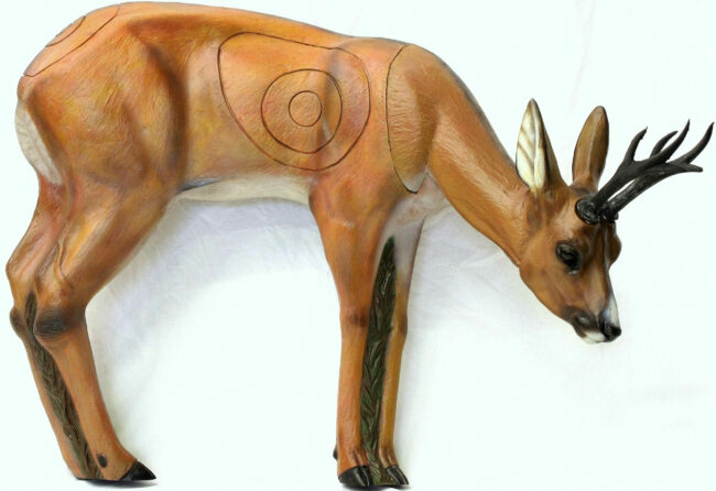 SRT Rehbock VSE grasend