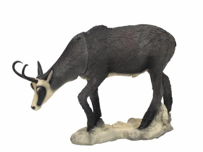 SRT Gemse VSE grasend Winter