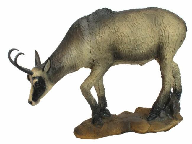 SRT Gemse VSE grasend Sommer