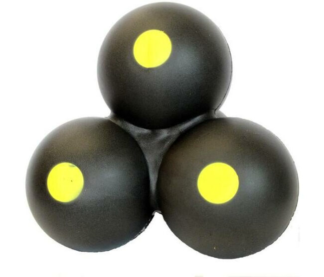 SRT SFB Roving - Trainingsziel