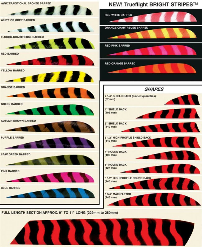 Naturfedern Trueflight Shield 4" Barred LW