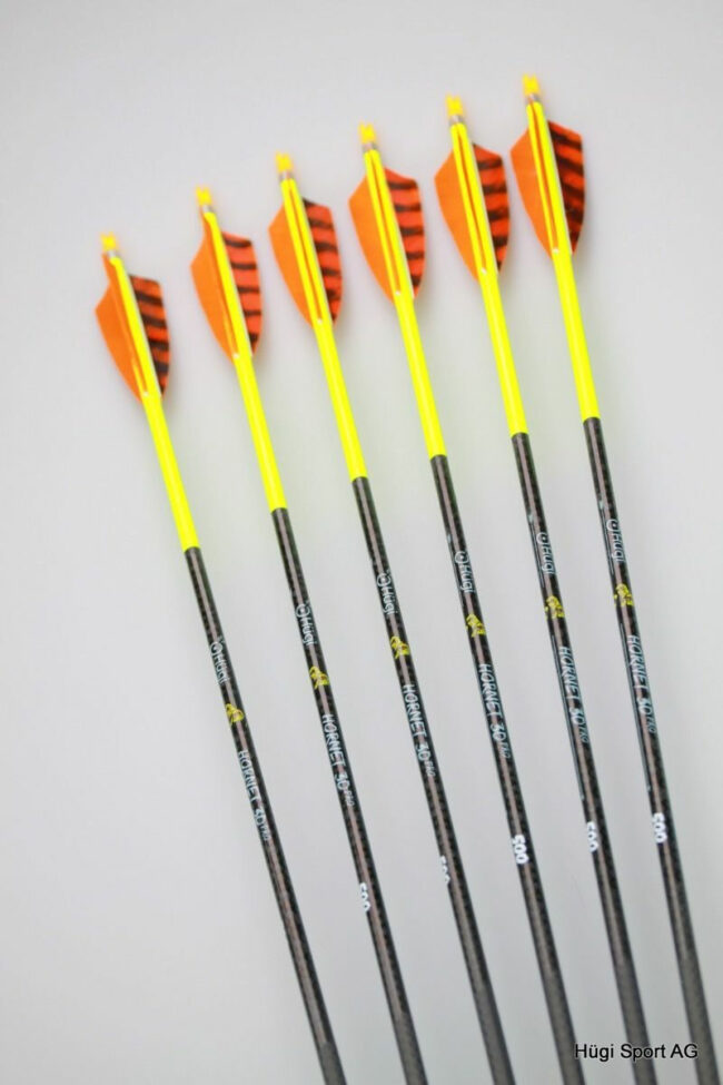 Hornet 3D Pro Delux Edition