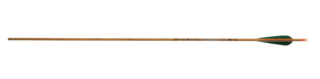 Skylon Carbonpfeil Bentwood 6.2