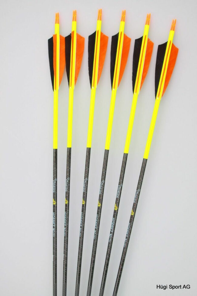 Hornet 3D Pro Standard Edition