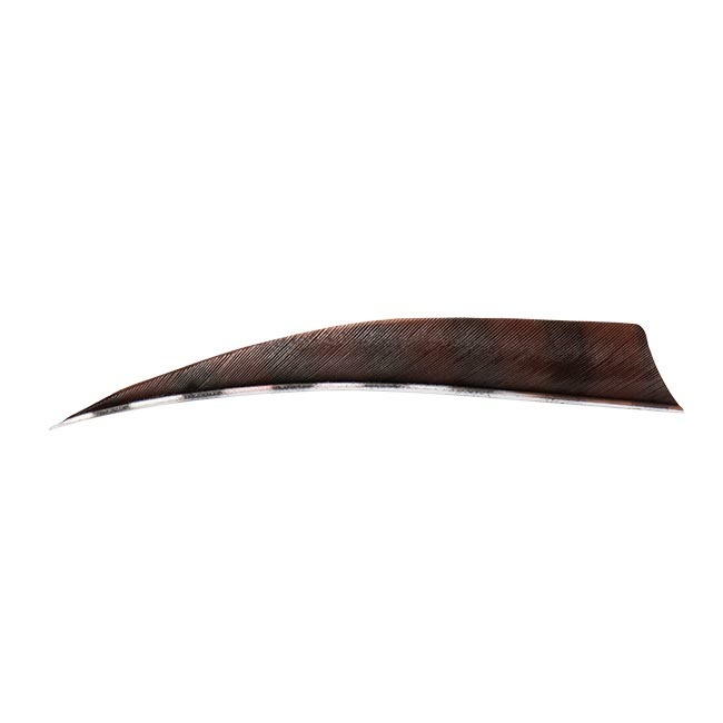 Naturfedern Buck-Trail Barred Shield 4" LW – Bild 4